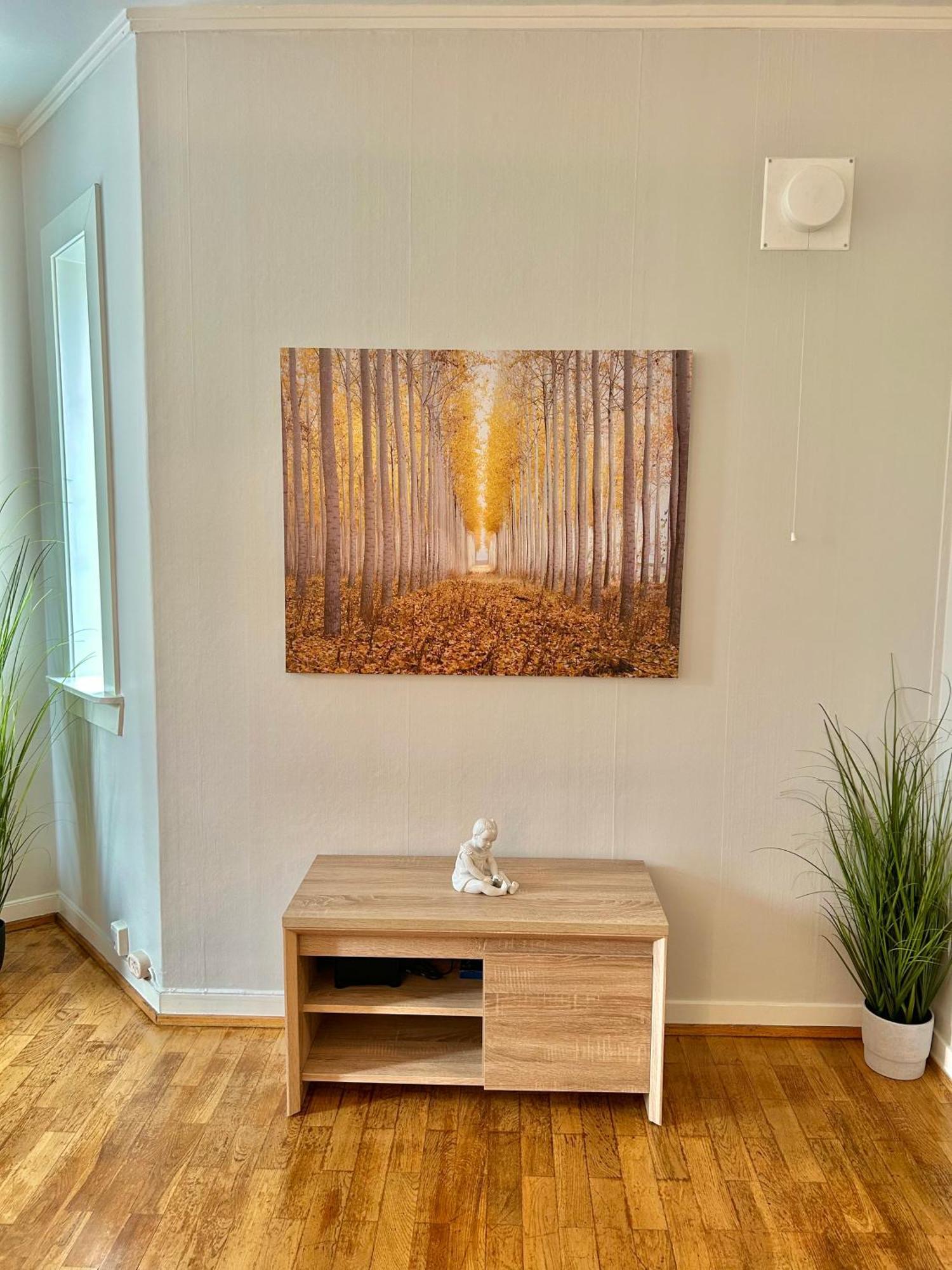 Gjestehuset Borggata 18 Fredrikstad Esterno foto